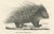 After Schinz, Porcupine, Agouti & Tapir, 1830, Lithographs, Set of 2 For Sale - Image 5 of 9