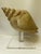 Infuse your space with organic coastal elegance through this stunning vintage hand-carved wooden conch shell sculpture....