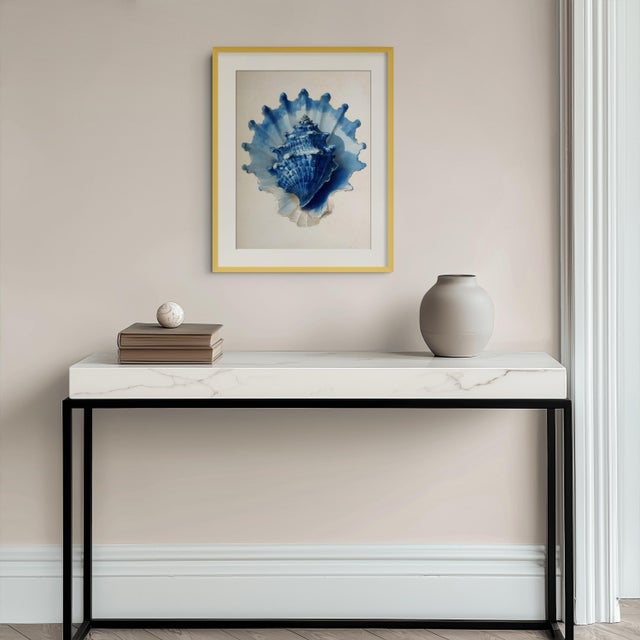 Set of 8 – Blue and White Conch Shells Collection | Coastal Natural History Fine Art Prints For Sale - Image 18 of 18