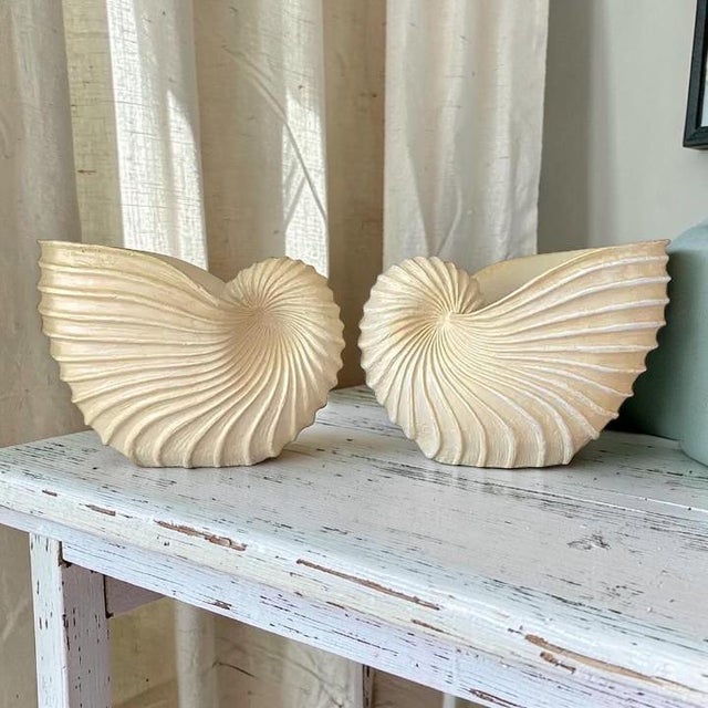 This listing features an absolutely beautiful unbranded and one of a kind large decorative Nautilus shell planter made out...