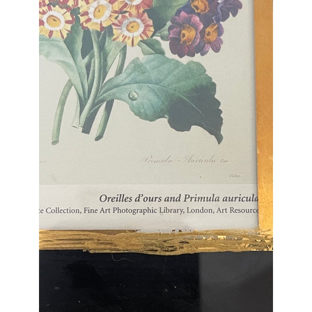 1970s Lovely Small Floral Primula Chromolithograph in Gold Frame Reproduction For Sale - Image 4 of 4