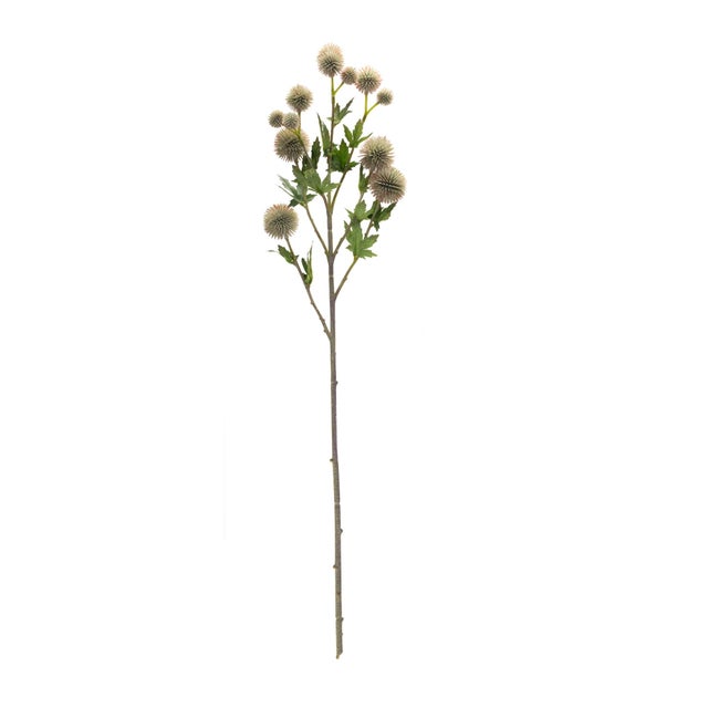 Rustic Sage Allium Floral Spray (Set of 6) For Sale - Image 3 of 3