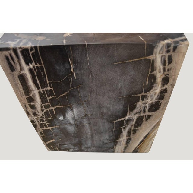 Andrianna Shamaris Petrified Wood Side Table For Sale - Image 11 of 18