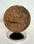 1960s Mid-Century Modern Cork Sphere Pen & Pencil Holder With Chrome Base For Sale - Image 5 of 9