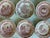 English Set of 6 Vintage Red and White Spode Archive Collection Plates For Sale - Image 3 of 16