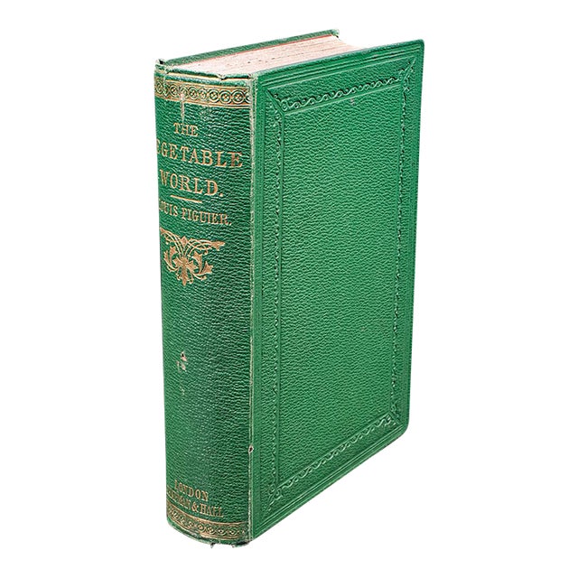 Antique Reference Book, the Vegetable World, English, Louis Figuier, Victorian For Sale