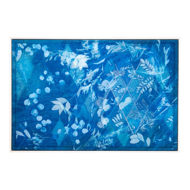 Wisdom Is Born of Wonder (II) by Kristen Abbott, Original Cyanotype, Framed For Sale