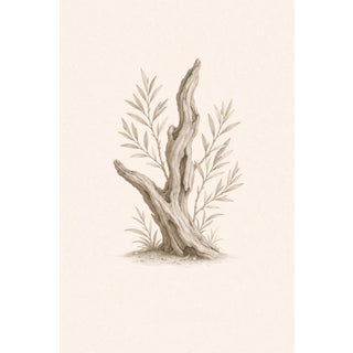 Driftwood Botanical Study, Minimal Coastal Nature Art Print, 24" × 36" For Sale