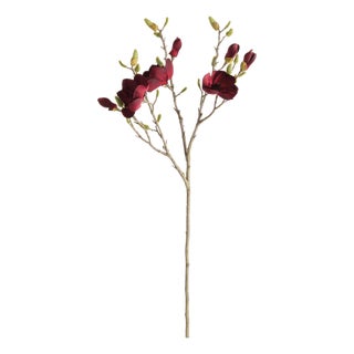 Magnolia Branches 34" St/4 For Sale