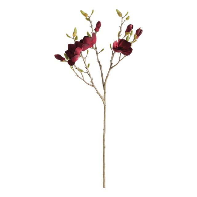 Magnolia Branches 34" St/4 For Sale