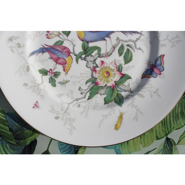 Set of 5 Coalport Bone China Dinner Plates in the Paradise Pattern For Sale - Image 11 of 13