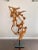 Extra Large Freestanding Teak Root Art Sculpture by Made Goods Marcianus With Custom Matte Metal Base For Sale - Image 10 of 13