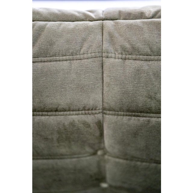 Togo Lounge Chair and Khaki Velvet by Michel Ducaroy for Ligne Roset, 1973, Set of 2 For Sale - Image 17 of 18