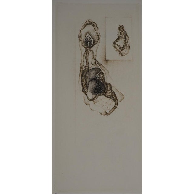 Fred deux (1924-2015) double natural abstraction, 1981 original engraving (alain sabatier workshop) signed in pencil...