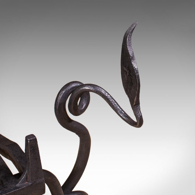 Antique Dragon Motif Fireplace Set, English, Fire Basket, Andirons, Edwardian For Sale - Image 10 of 12