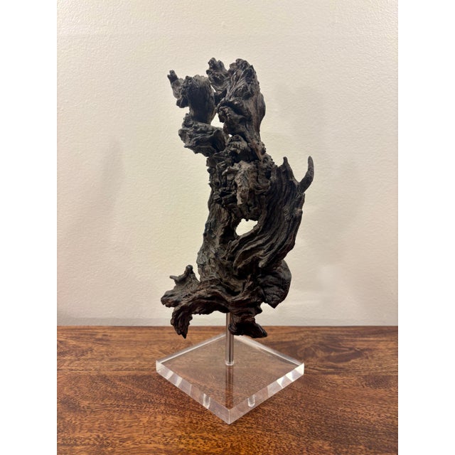 Wood Vintage Coastal Burl Wood Sculpture on Lucite Base, Natural Fantasy Form For Sale - Image 7 of 10