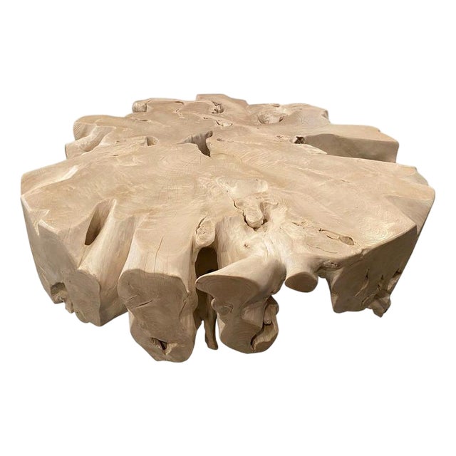Andrianna Shamaris Round Bleached Teak Wood Organic Coffee Table For Sale