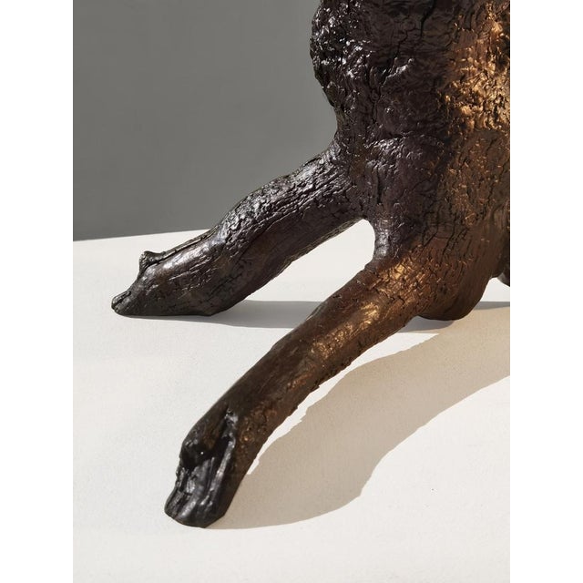 Modern Brutalist Rustic Wild Wood Table Lamp, France, 1960s For Sale - Image 6 of 13