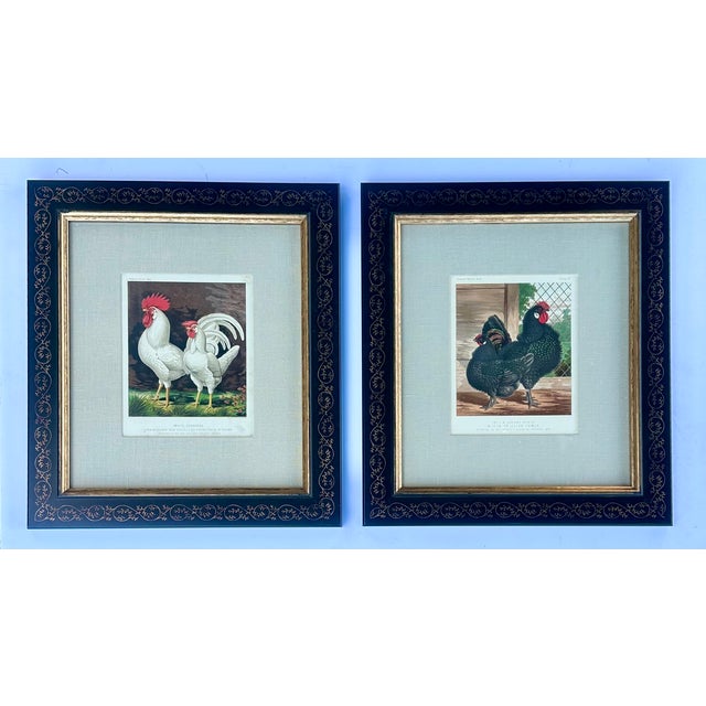 Black White Leghorn Chicken & Black Polish, Framed Pair by Cassell, 1890 For Sale - Image 8 of 8