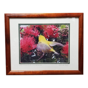 Framed Original Photography Print Yellow Bird in Hawaiian Blossoms