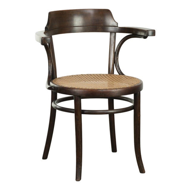 Vintage Webbing Armchair in Curved Wood For Sale