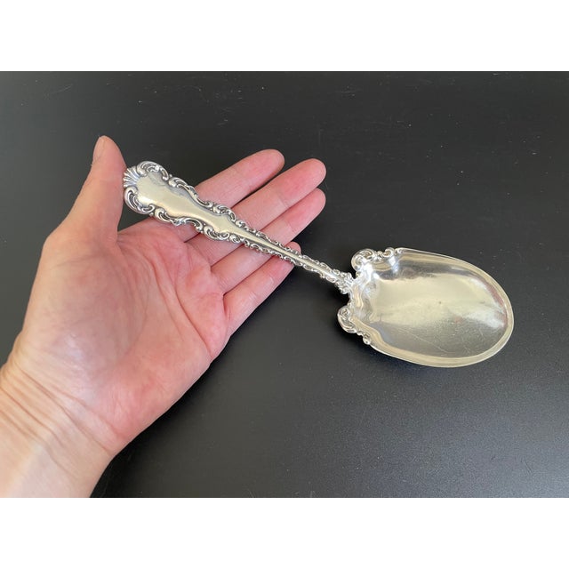 Late 19th Century Whiting Manufacturing Co. Louis XV Sterling 1891 Preserve Serving Spoon For Sale - Image 5 of 9
