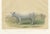Geoffroy After Jadin, Charolais Cow, 1873, Paper For Sale - Image 12 of 12