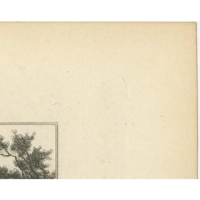 Gray Antique Map of the Somme with Amiens and Abbeville, 1860 For Sale - Image 8 of 12