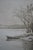Antique William De La Montagne Cary Signed Bulls Cows Riverscape Etching 29" For Sale - Image 10 of 12