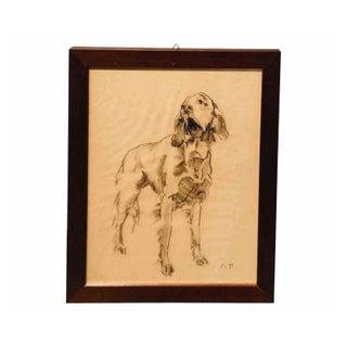 Sirio Tofanari, Setter, Drawing, 1920s For Sale