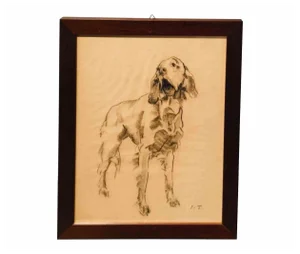 Sirio Tofanari, Setter, Drawing, 1920s