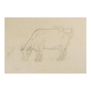 Early 20th Century Drawing of a Cow For Sale
