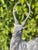 Cast Iron Stag Deer on Ball Garden Finial Sculptures, Set of 2 For Sale - Image 4 of 12
