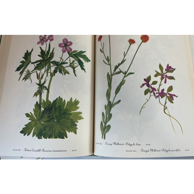 White 1978 “Wild Flowers of America” Illustrated Book For Sale - Image 8 of 11