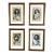 Set of Four Framed George Vertue Portrait Engravings in Neoclassical Gilt Frames For Sale