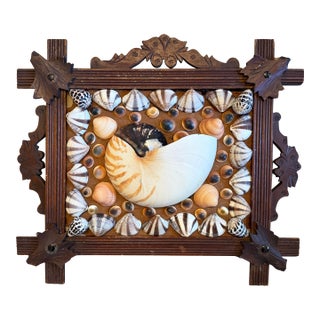 Shell Art in Antique Frame For Sale