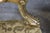 French Pair Louis XVI Gilt Frame Upholstered Armchairs For Sale - Image 3 of 12