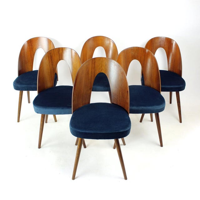 Wood Tatra Chairs in Walnut and Velvet by Šuman, 1960s, Set of 6 For Sale - Image 7 of 18