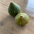Stone Mid 20th Century Italian Alabaster Green Plums - a Pair For Sale - Image 7 of 9