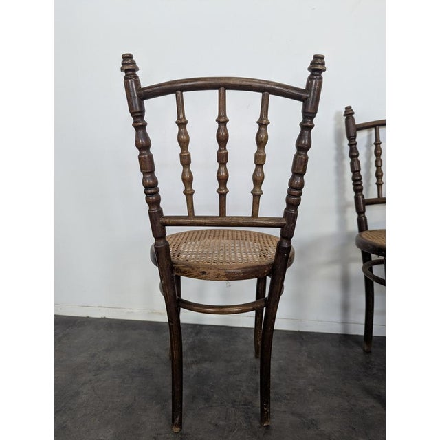 Dining Chairs in Wood from Thonet, Set of 4 For Sale - Image 6 of 7