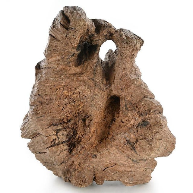 This teak root stands out for its sculptural and organic appearance, showcasing the raw beauty of the wood. with its...