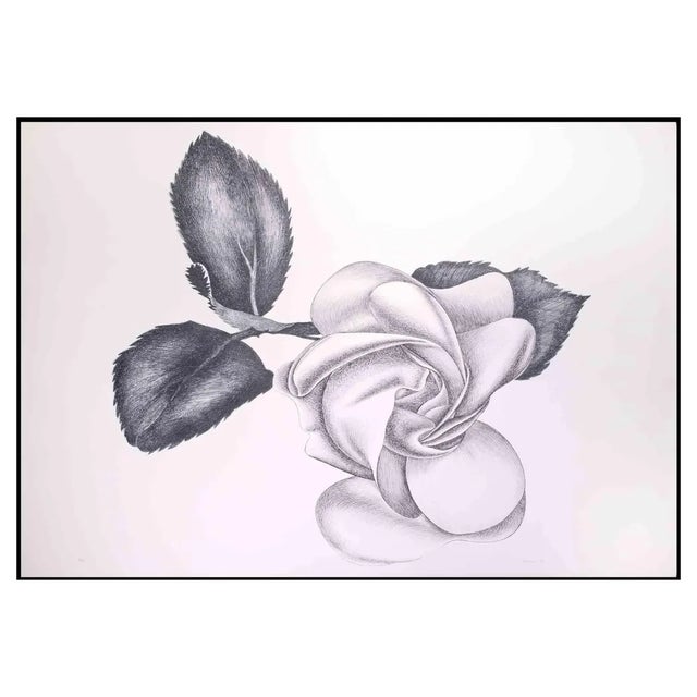 Giacomo Porzano, Black Rose, Original Etching, 1970s For Sale