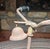 Gendron Wheel Company, "Pioneer" Tricycle For Sale - Image 9 of 15