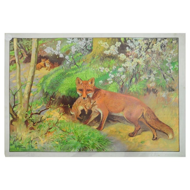 Paper Vintage Fox Mother & Loot Rabbit Poster For Sale - Image 7 of 7