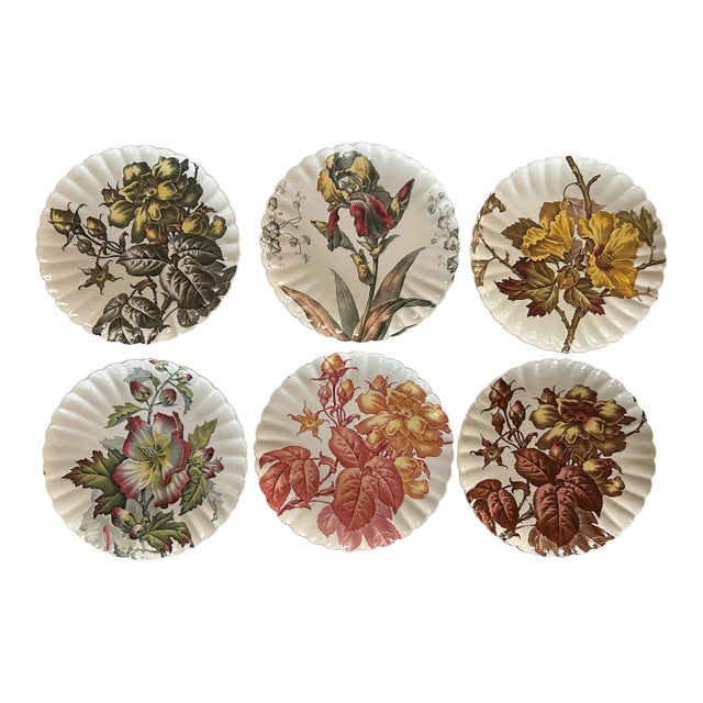 Antique 1880’s Tc Brown Westhead Moore & Co Scalloped Edge Botanical Plates 8.5” ~ Set of 6 For Sale