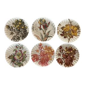 Antique 1880’s Tc Brown Westhead Moore & Co Scalloped Edge Botanical Plates 8.5” ~ Set of 6