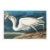 Great White Heron, Vintage Art Print Reproduction From Birds of America by John James Audubon, 48″ × 32" For Sale