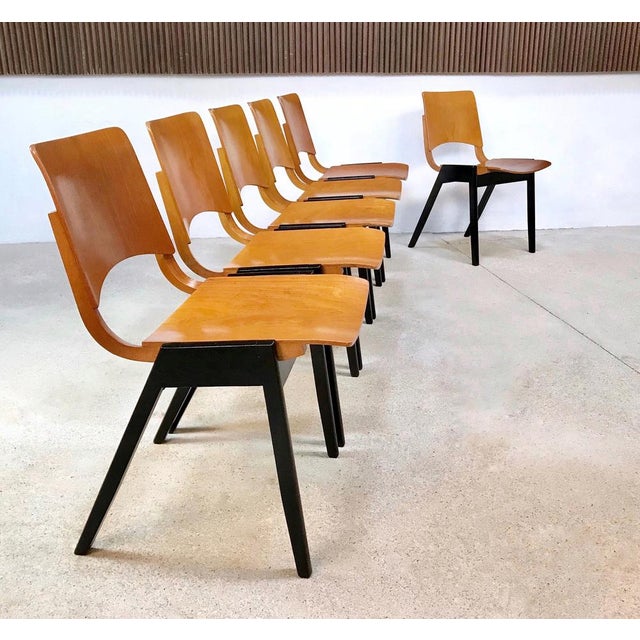1950s Model P7 Chairs by R. Rainer for Pollak, Set of 6 For Sale - Image 5 of 18