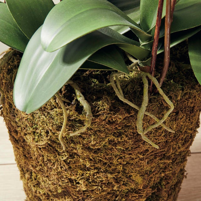 Textile Phalaenopsis Orchid Drop-In 36" For Sale - Image 7 of 7