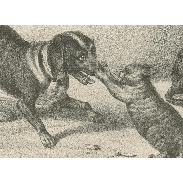 C.C. G. Zool., Hunting Dogs and Dachshunds Interacting with Cats, 1836, Lithograph For Sale - Image 3 of 12